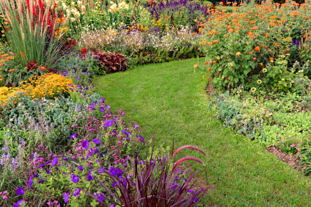 Gartenpflege und Bepflanzung